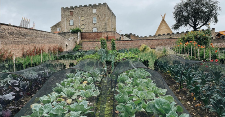 auckland castle walled garden